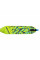 Трюковый самокат DUKER 1.0 Evolution Neon